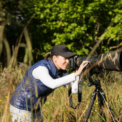 Wildlife Photographer