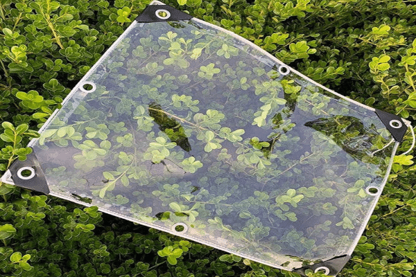 clear plastic tarp