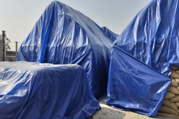 site protection