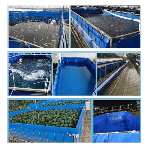 Introduction to Tarps and Their Use in Ponds