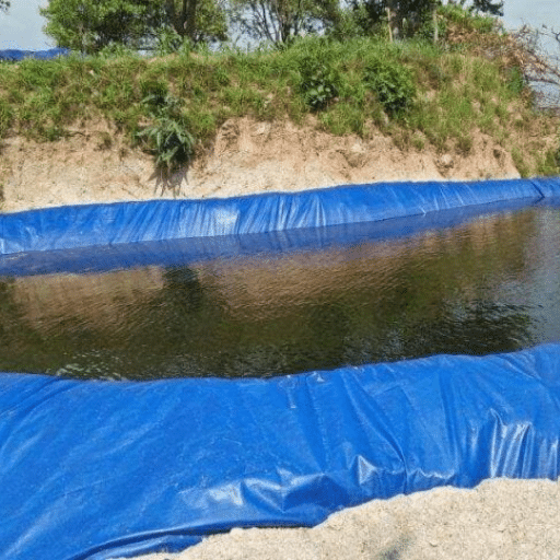 Conclusion: Making Informed Choices for Fish Safety