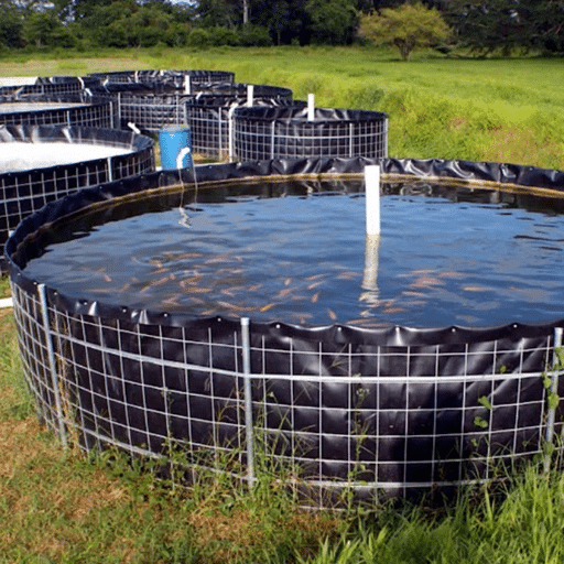Introduction to Tarpaulin Fish Ponds