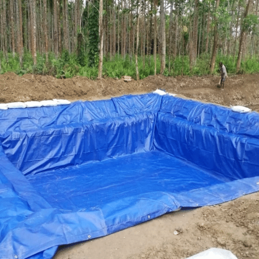 Best Practices for Setting Up a Tarpaulin Fish Pond