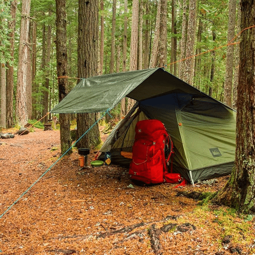 Practical Tips for Securing a Tarp