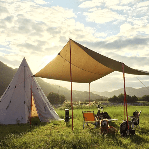 Best Tarps for Specific Applications
