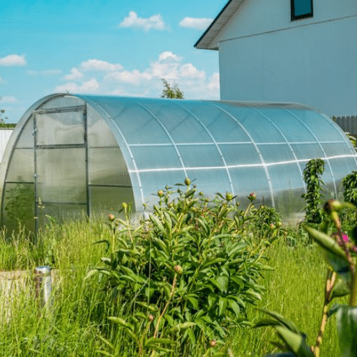 Choosing the Right Greenhouse Plastic