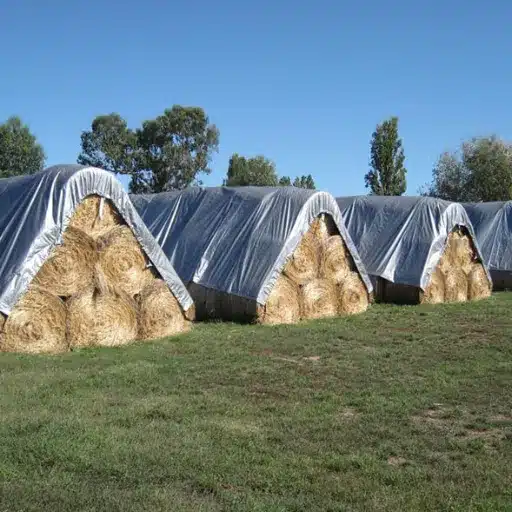 Key Specifications to Look For